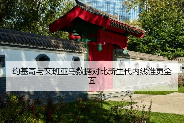 约基奇与文班亚马数据对比新生代内线谁更全面